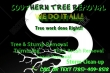 Southern-Tree-Removal